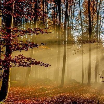 星空体育app下载手机app下载