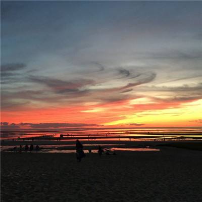 百姓彩票网app下载