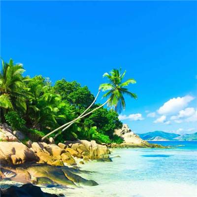 pg棋牌软件平台手机app下载