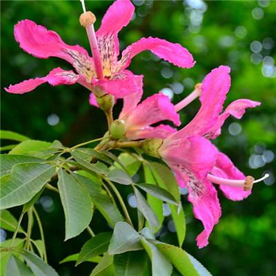 爱游戏平台app下载